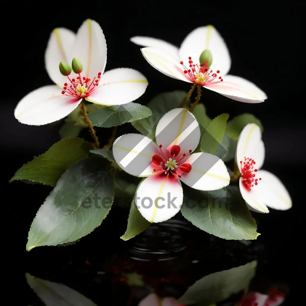 Picture of Delicate Spring Blossom: Pink Floral Garden