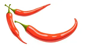 Artistic graphic sweet pepper icon symbol