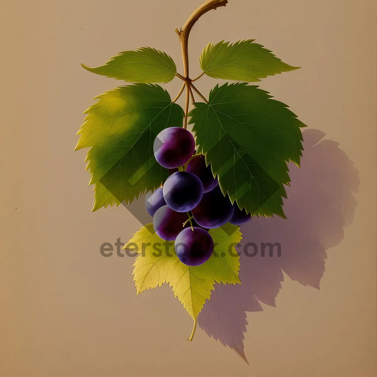 Picture of Holiday cheer in a winter wonderland: Festive Grape Shrub Tree Branch