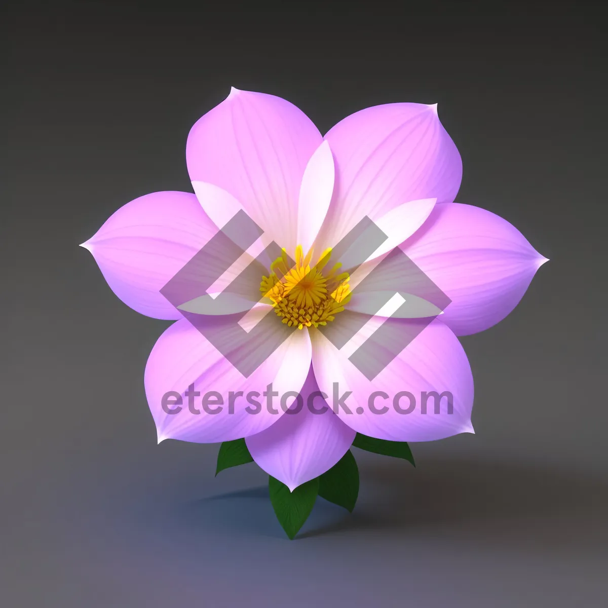 Picture of Blooming Pink Floral Petals in a Summer Garden