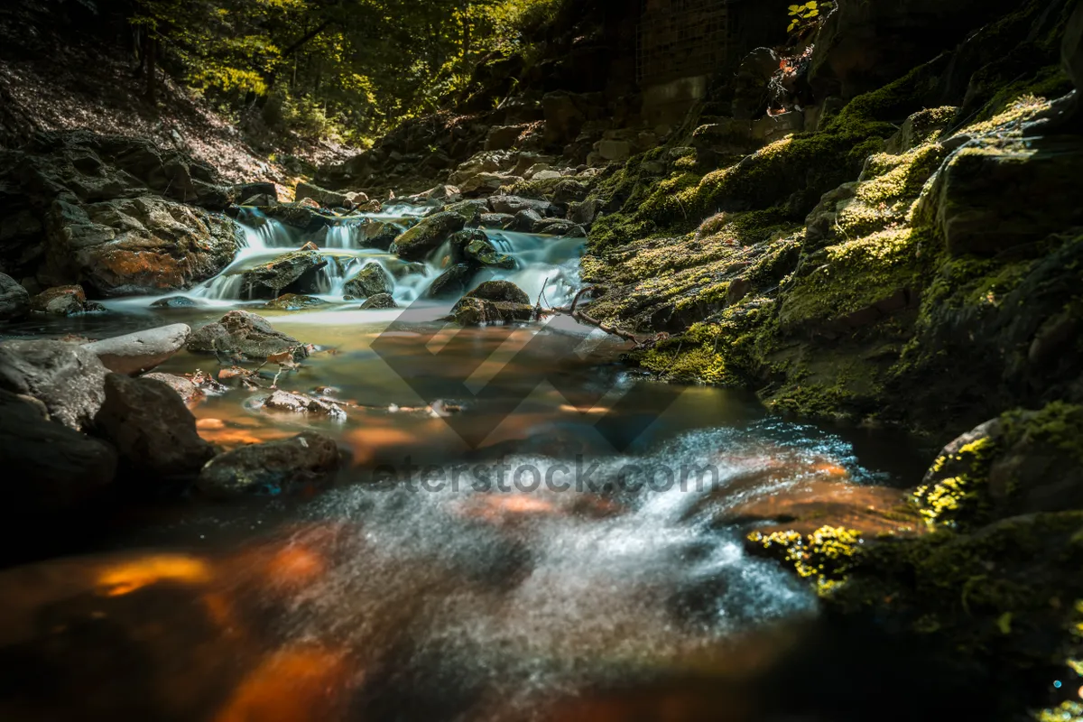 Picture of Autumn Falls in the Wilderness - Scenic River Landscape