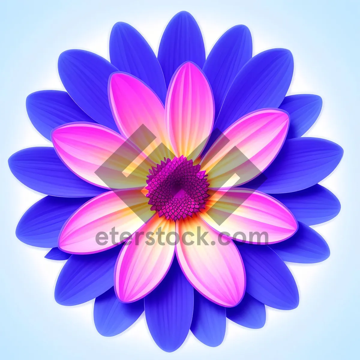 Picture of Vibrant Lotus Blossom with Petals in Full Bloom