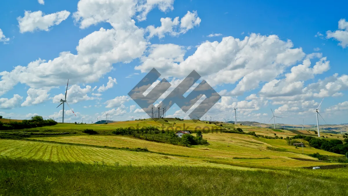 Picture of Scenic countryside landscape with tree and cloudy sky.