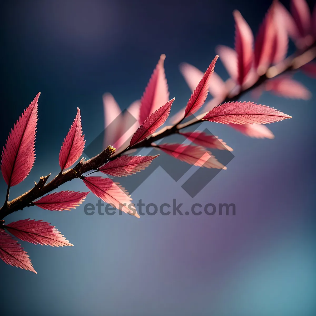 Picture of Maple Leaf in Pink Floral Design