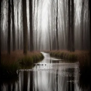 Serenity in the Woodland Fountain