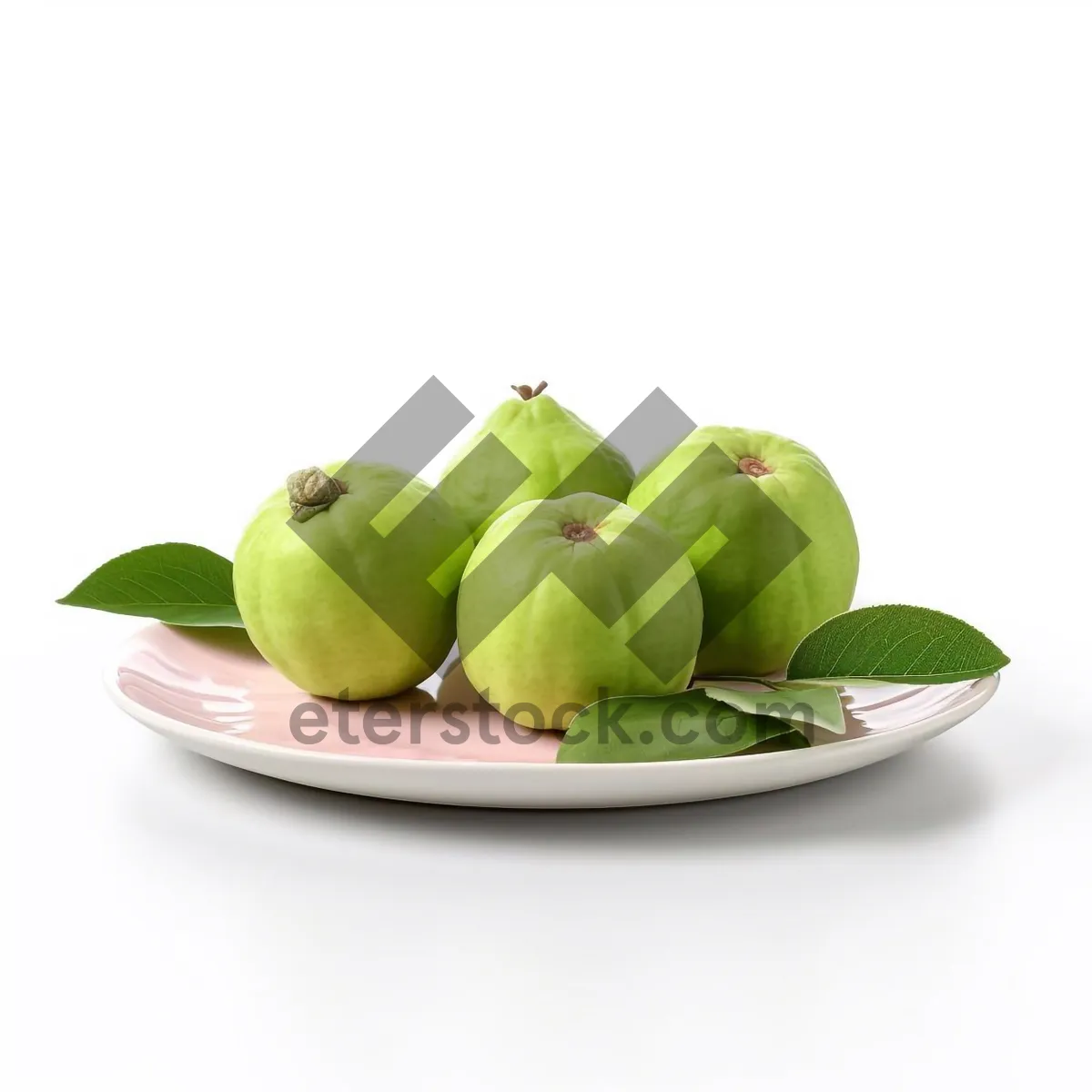 Picture of Healthy Fruit Snack - Granny Smith Apple Slices