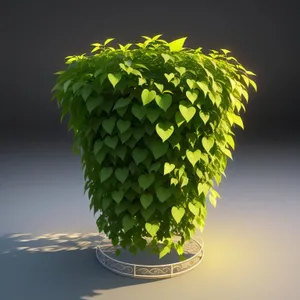 Eco Leaf: Symbolizing Spring's Sustainable Growth
