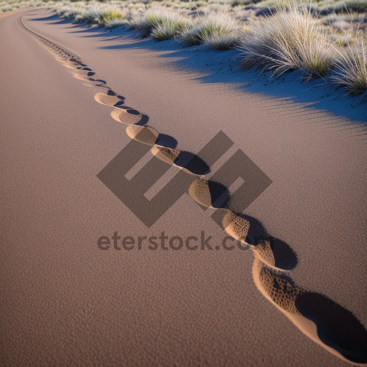 Picture of Serenity by the Shore: Captivating Coastal Clasp