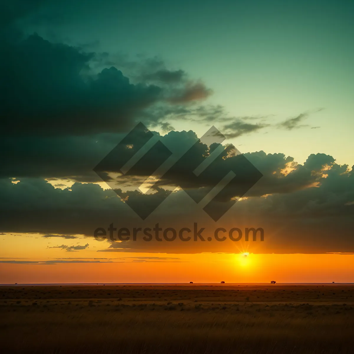 Picture of Golden Sky over Ocean Horizon