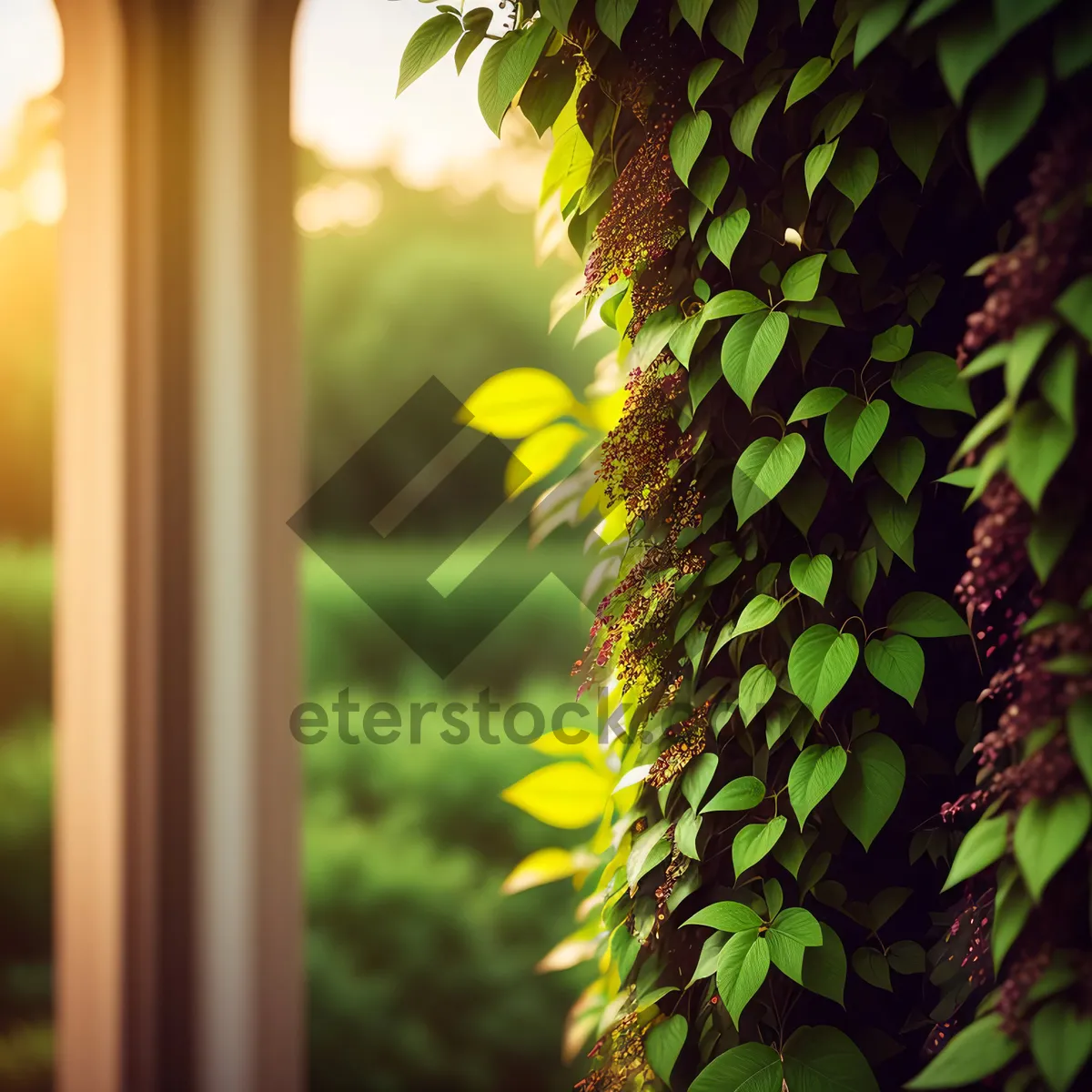 Picture of Vibrant Yellow Pepper Tree Fruit with Textured Surface