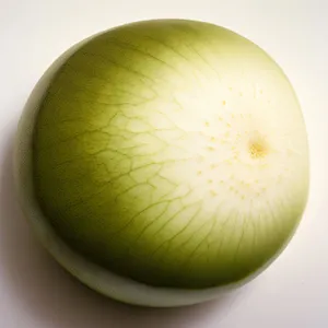 Winter Melon Citrus: Fresh, Juicy & Nutritious Delight.