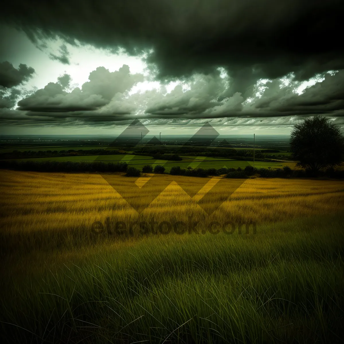 Picture of Serene Countryside under the Sun