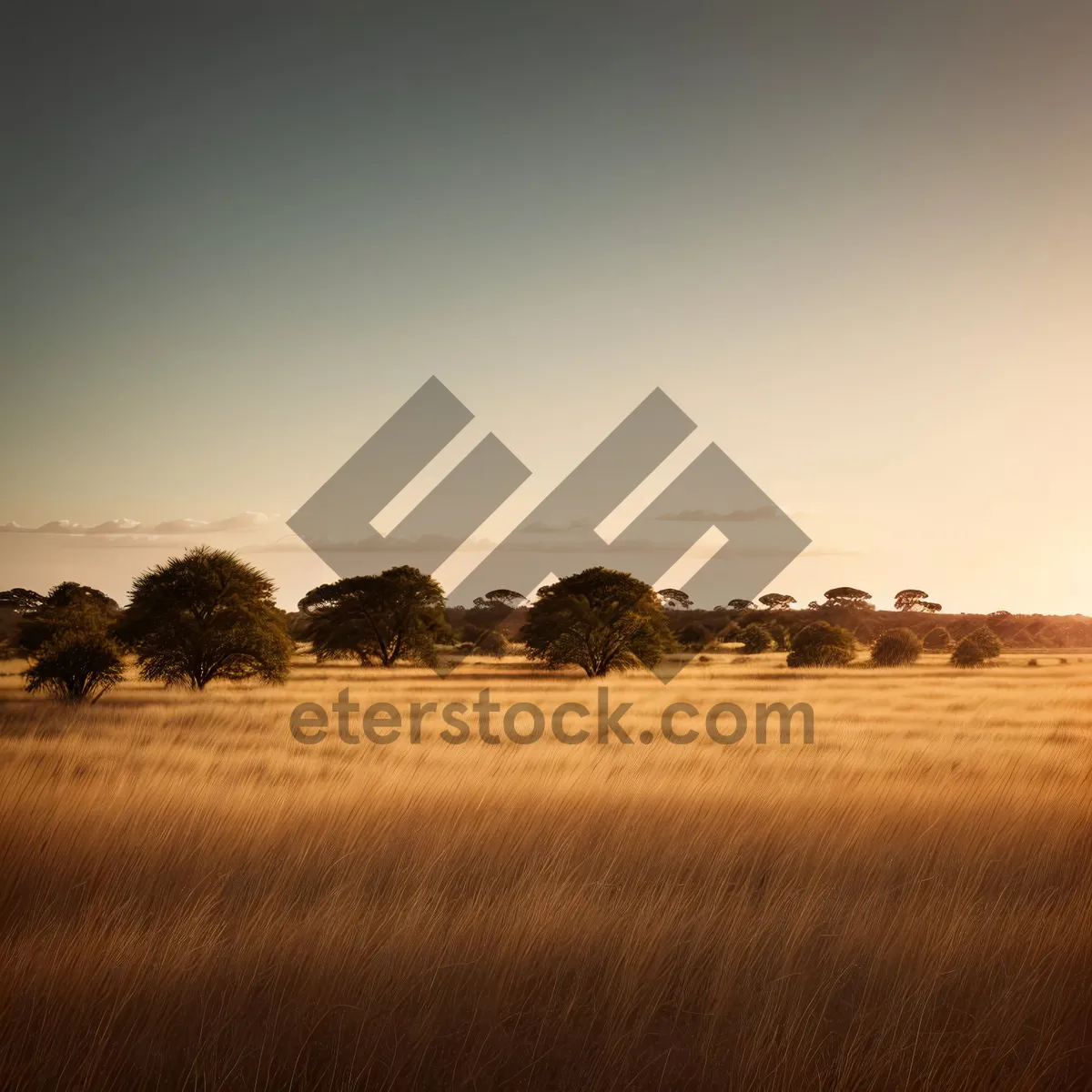 Picture of Vast Summer Skies and Rolling Fields