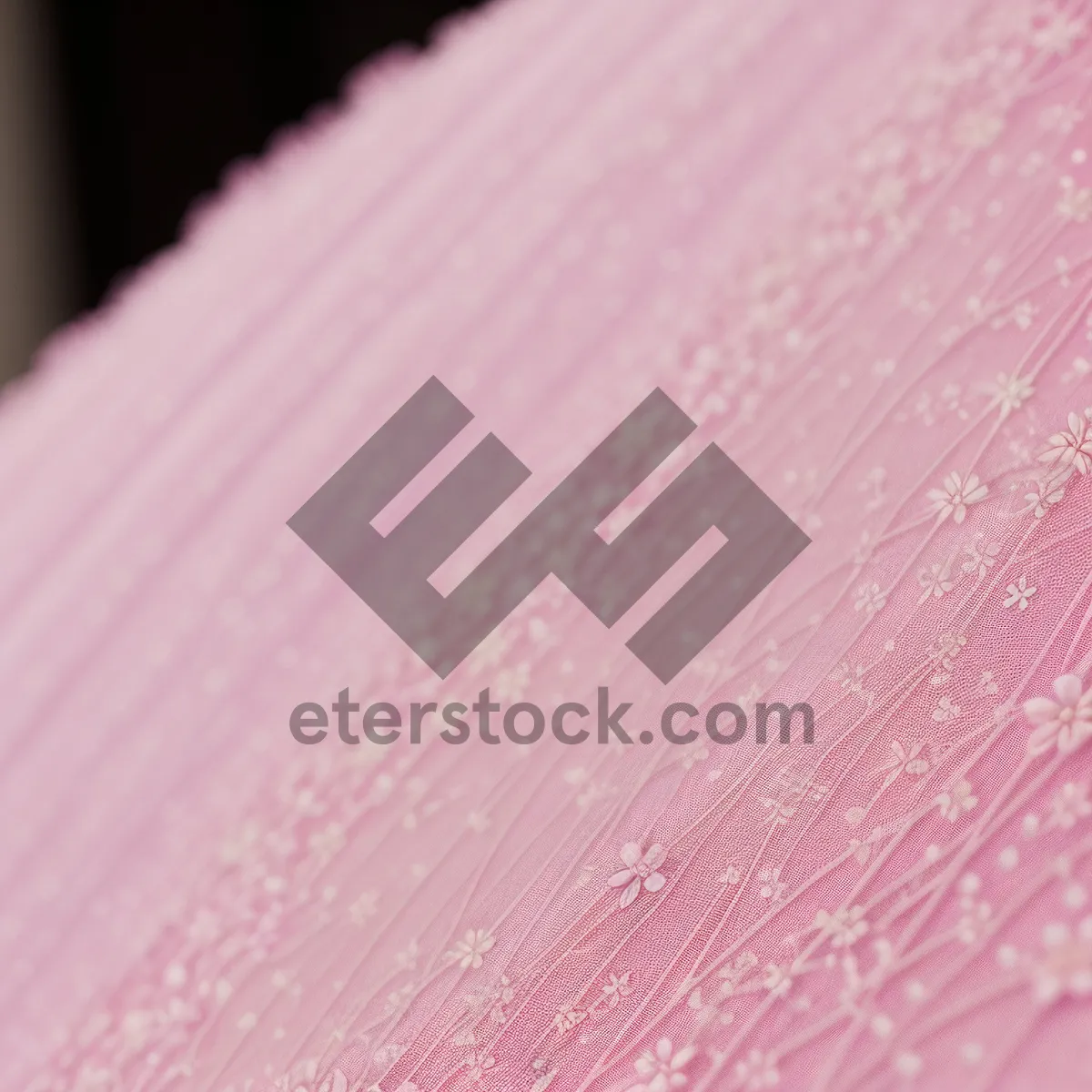 Picture of Pink Petal Close-up with Brush