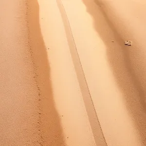 Desert Dune Texture Shower Curtain