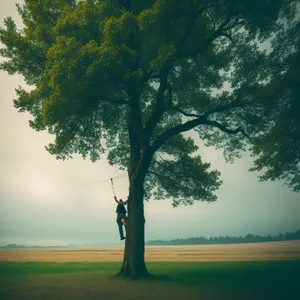 Serene Lakeside Scene with Majestic Oak Tree