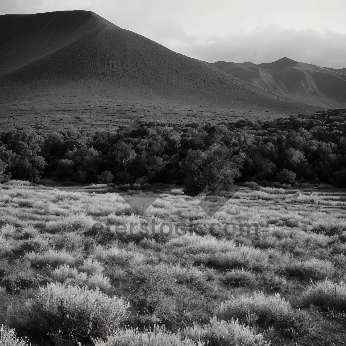 Picture of Highland Mountain Scenic View - Majestic Peaks amidst Wilderness