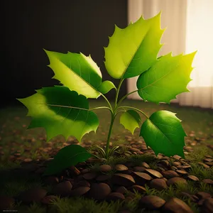 Fresh Spring Leaves in a Vibrant Garden