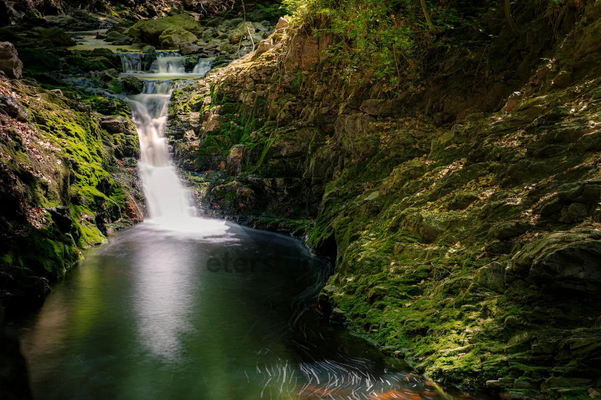 Picture of Serene waterfall cascading over smooth rocks in forest