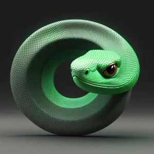 Green and Black Reptile Snake with Intricate Pattern