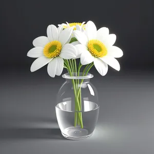 Yellow Daisy Blossom in Glass Vase