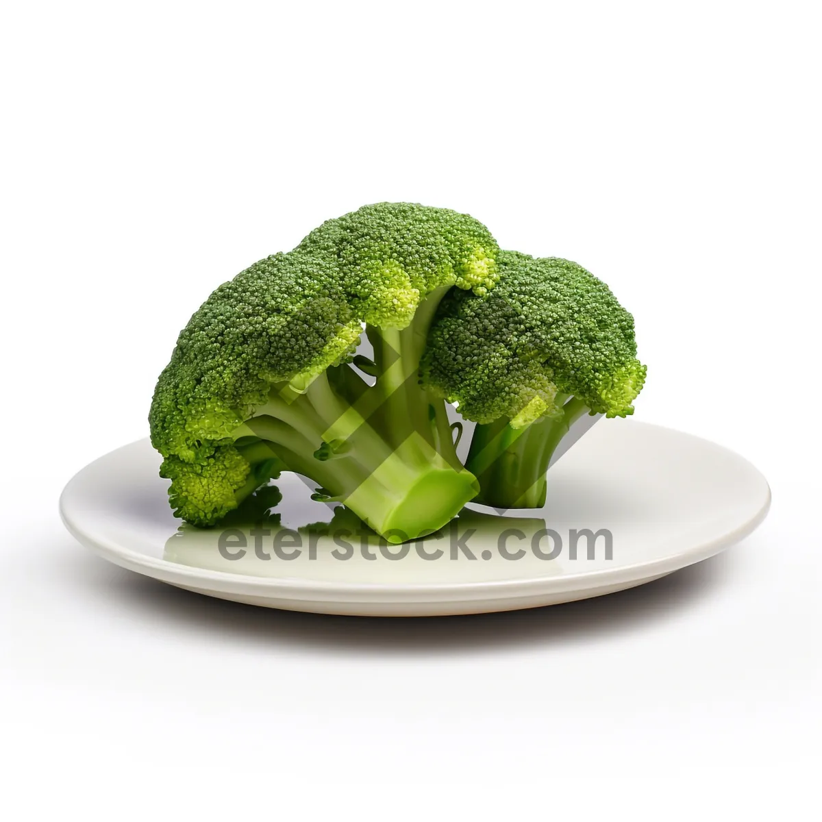 Picture of Fresh Broccoli for Healthy Vegetarian Cooking