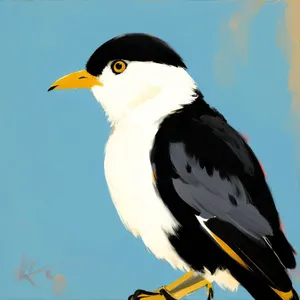 Wild Winged Auk: Majestic Seabird with Piercing Black Eye