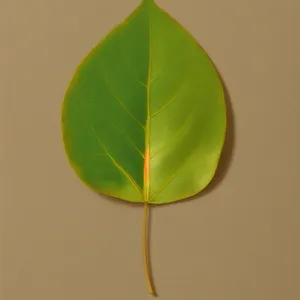 Vibrant Spring Growth: Lush Leaves and Seedlings.