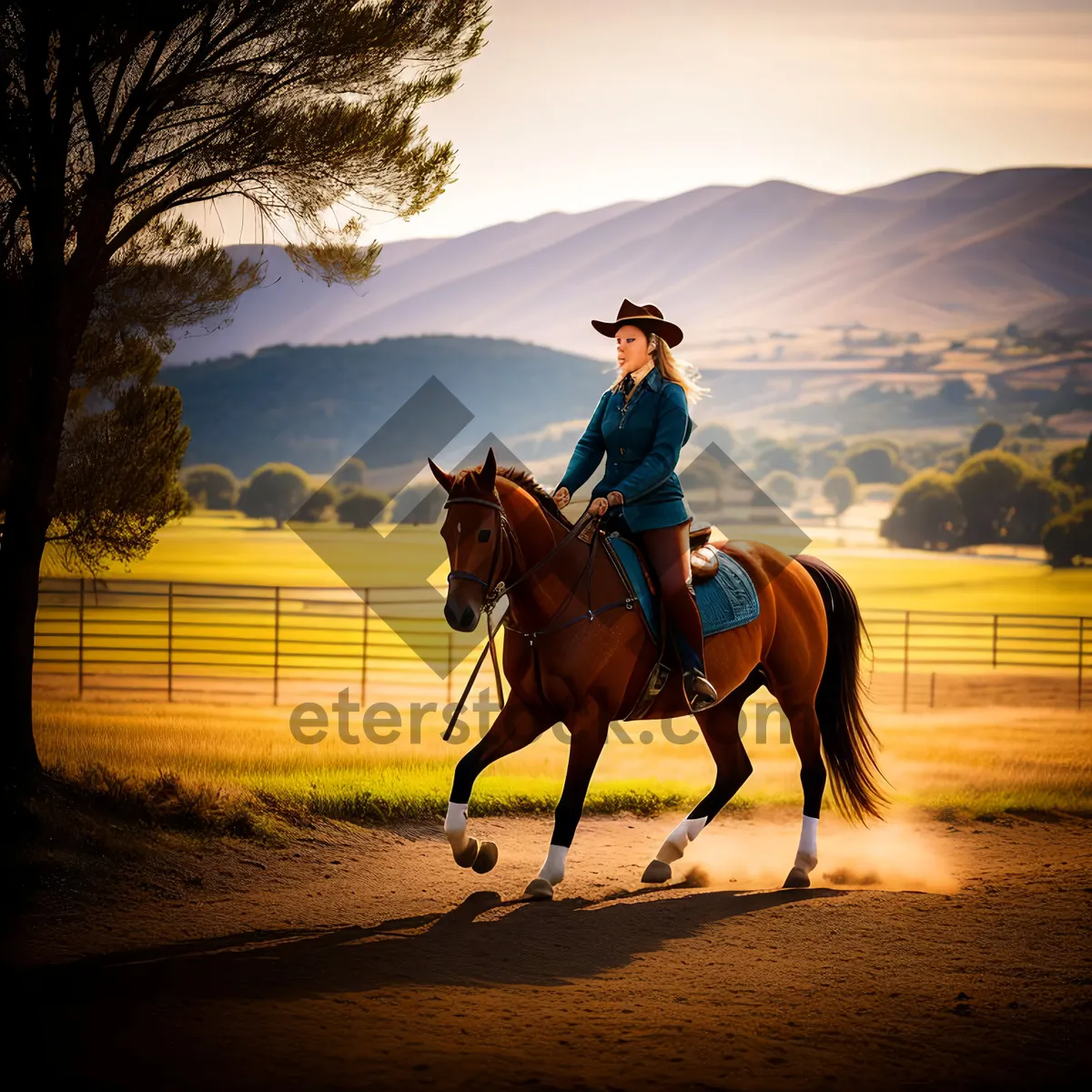 Picture of Riding on the Ranch: Majestic Stallion in a Field