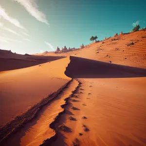 Serenity at Sunset: Desert Dunes Embrace Endless Sky