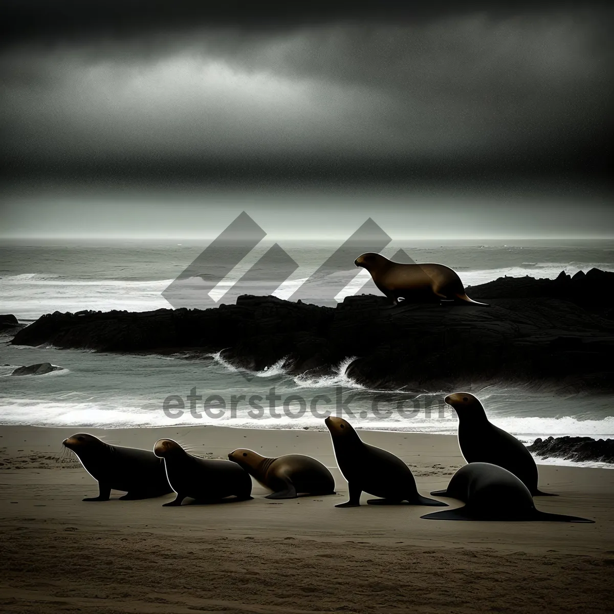 Picture of Serene Sunset over the Coastal Beach