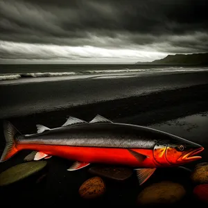 Device for Catching Coho Salmon with Car Spoiler