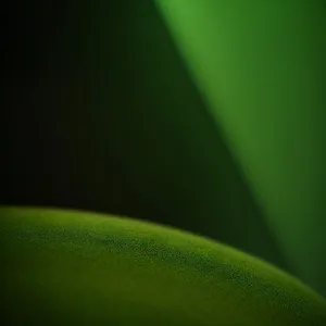 Fresh Dew-Kissed Green Pea Leaf: Vibrant Spring Vegetable Growth
