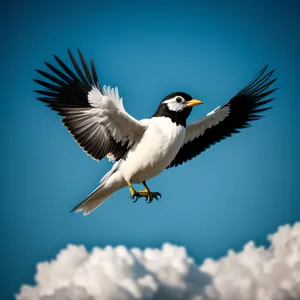 Graceful Flight: A Majestic Bird's Soaring Wings in the Wild Sky