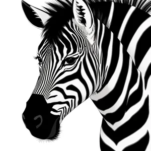 Striped Equine Beauty in Wildlife Reserve