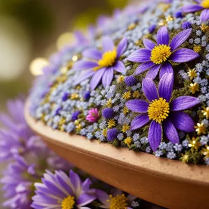 Blooming asters in a vibrant garden bouquet