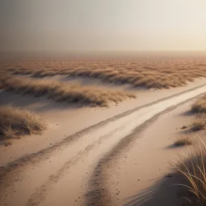 Dazzling Dunes and Serene Seascape