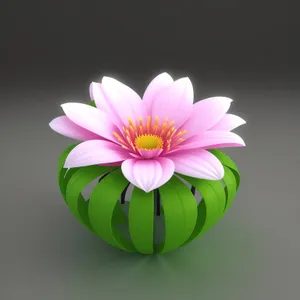 Floral Elegance: Pink Lotus Blossom in Bloom