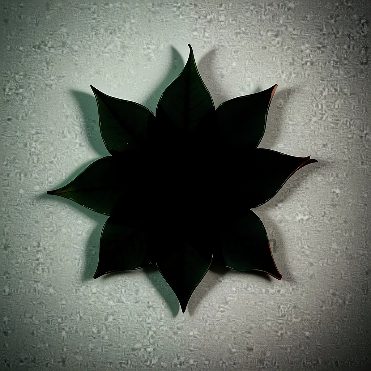 Picture of Lotus Star: A Symbolic Maple Inspiration