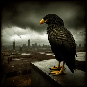 Majestic Predator: Bald Eagle in Feathered Splendor