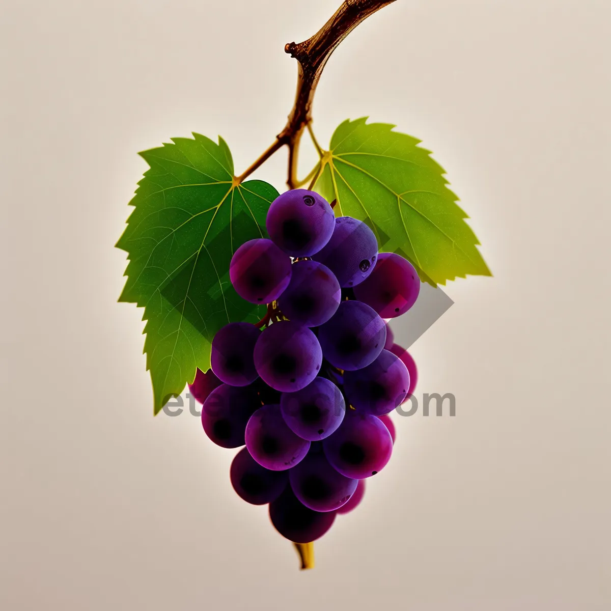 Picture of Ripe and Juicy Berry Vineyard Delight