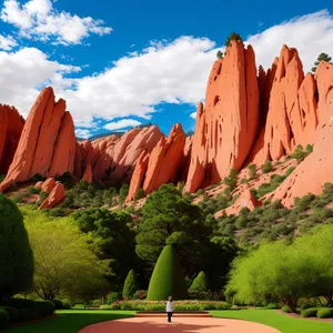 Vibrant Canyon Scenery: Orange Coral Tree Amidst Sandstone Rock