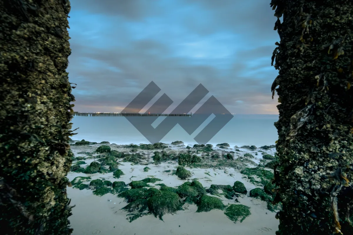 Picture of Sunset beach paradise landscape