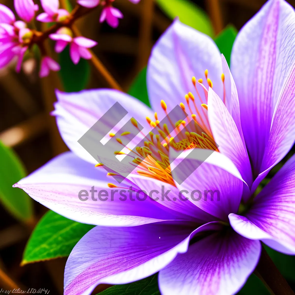 Picture of Vibrant Blooming Pink Flower in Garden