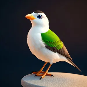 Yellow-eyed seagull soaring over the sea