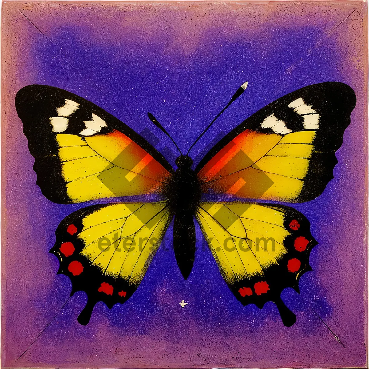 Picture of Vibrant Orange Butterfly with Delicate Wings