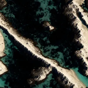 Underwater serpent basking beside vibrant coral reef