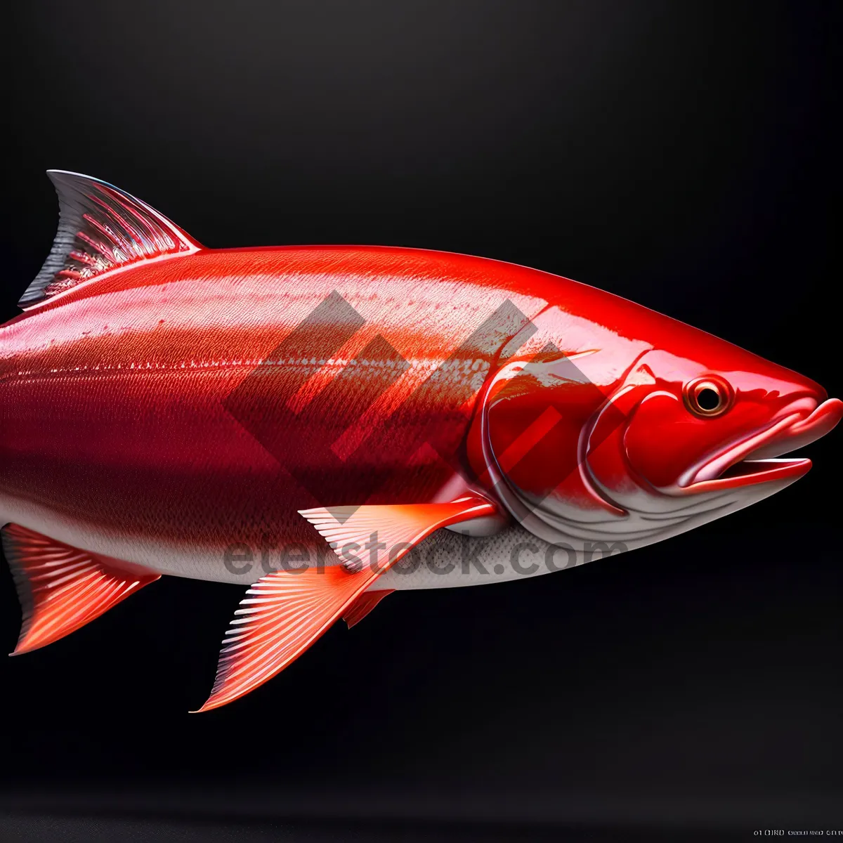 Picture of Snapper swimming in underwater aquarium