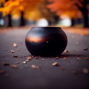 Japanese Fruit Acorn