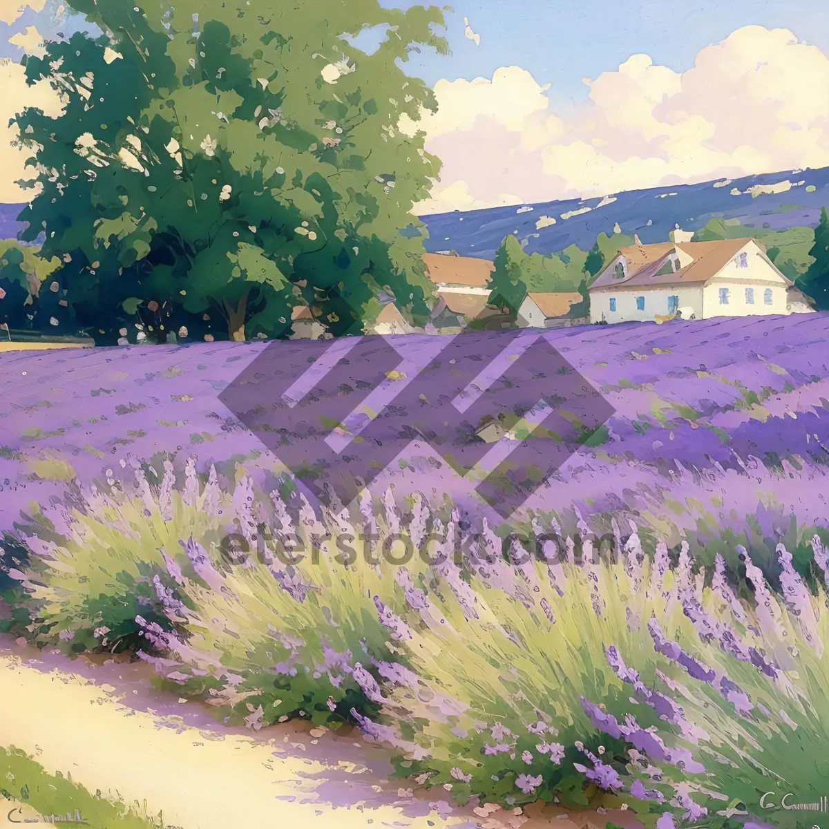 Picture of Serene Lavender Garden in the Countryside